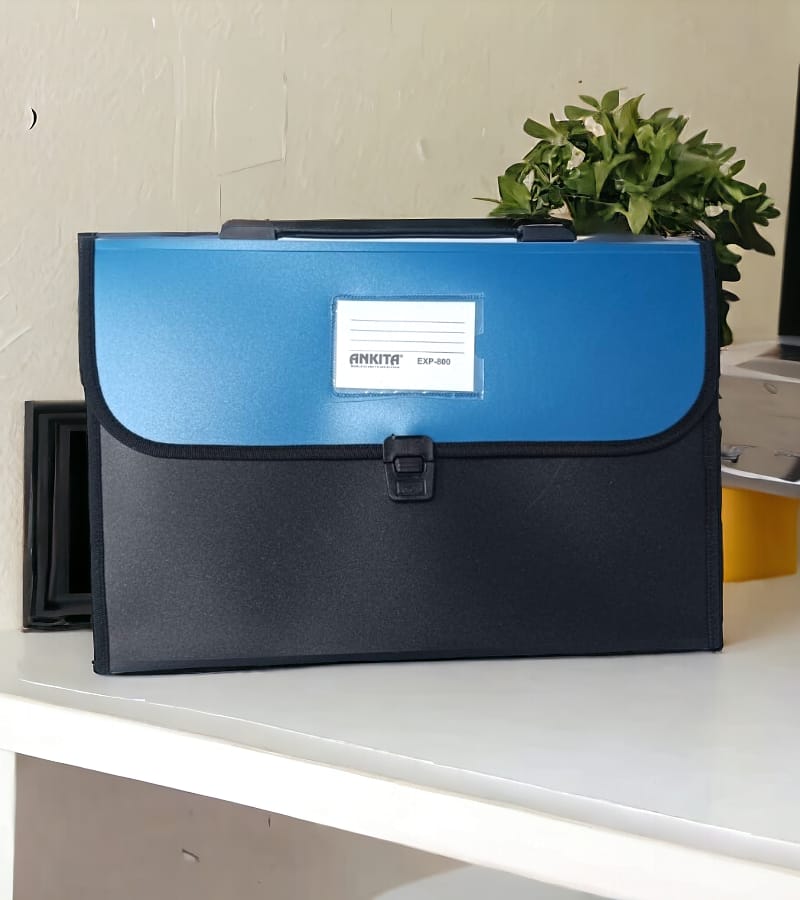 12-Pocket Expanding File Folder with Handle and Buckle Closure - Blue | A4 Size Document Organizer